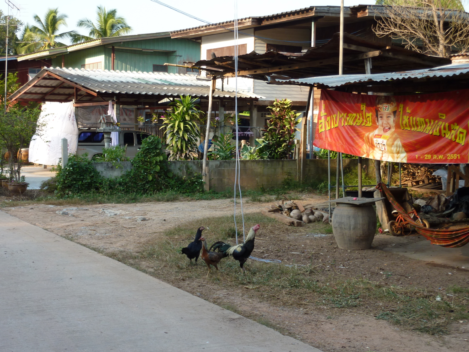 照片 泰国(Thailand) 彭世洛(Phitsanulok) 宗通(Chom Thong) 2009-12 60