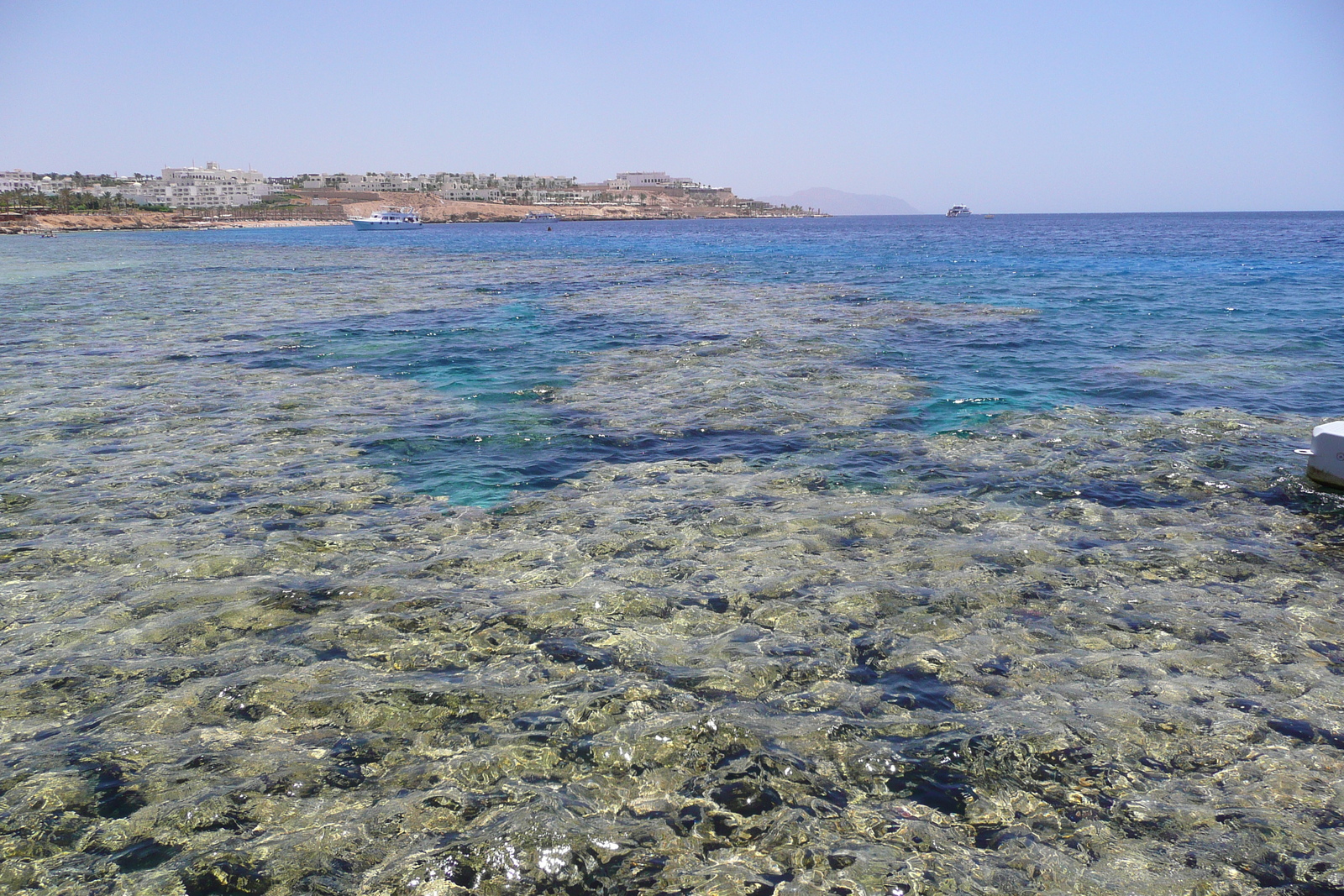 照片 埃及(Egypt) 沙姆沙伊赫(Sharm el Sheikh) 凯悦酒店(Hyatt Hotel) 沙姆沙伊赫凯悦海滩(Hyatt Sharm el Sheikh Beach) 2008-06 27