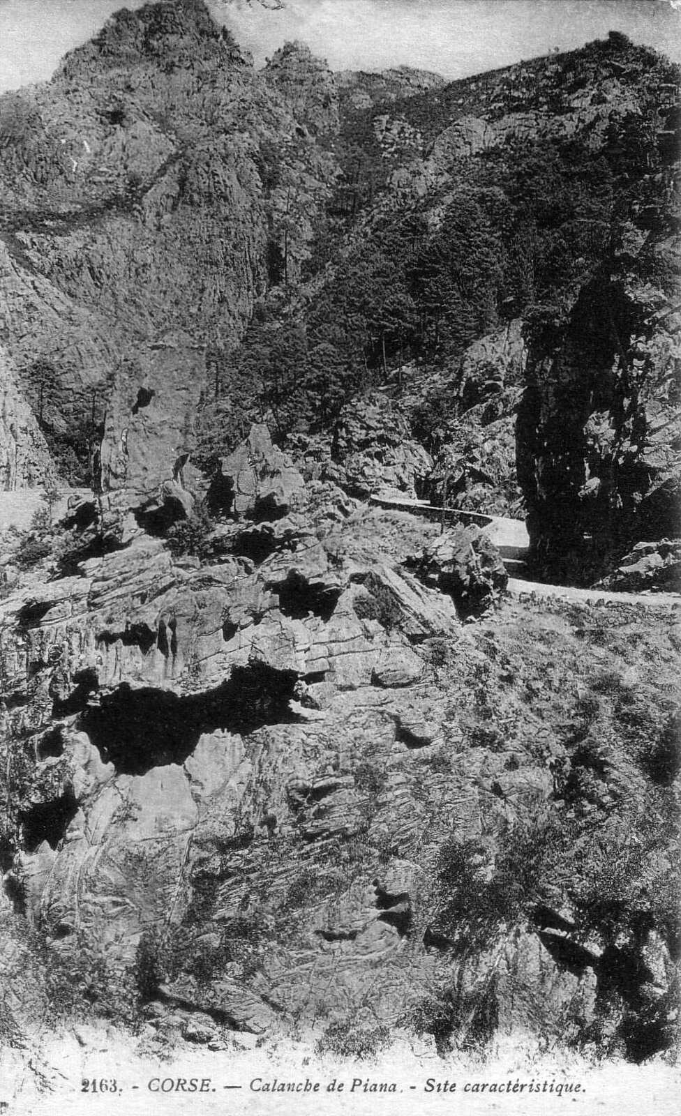 照片 法国(France) 科西嘉岛(Corsica) 老明信片(Old Postcards) 1900-01 27