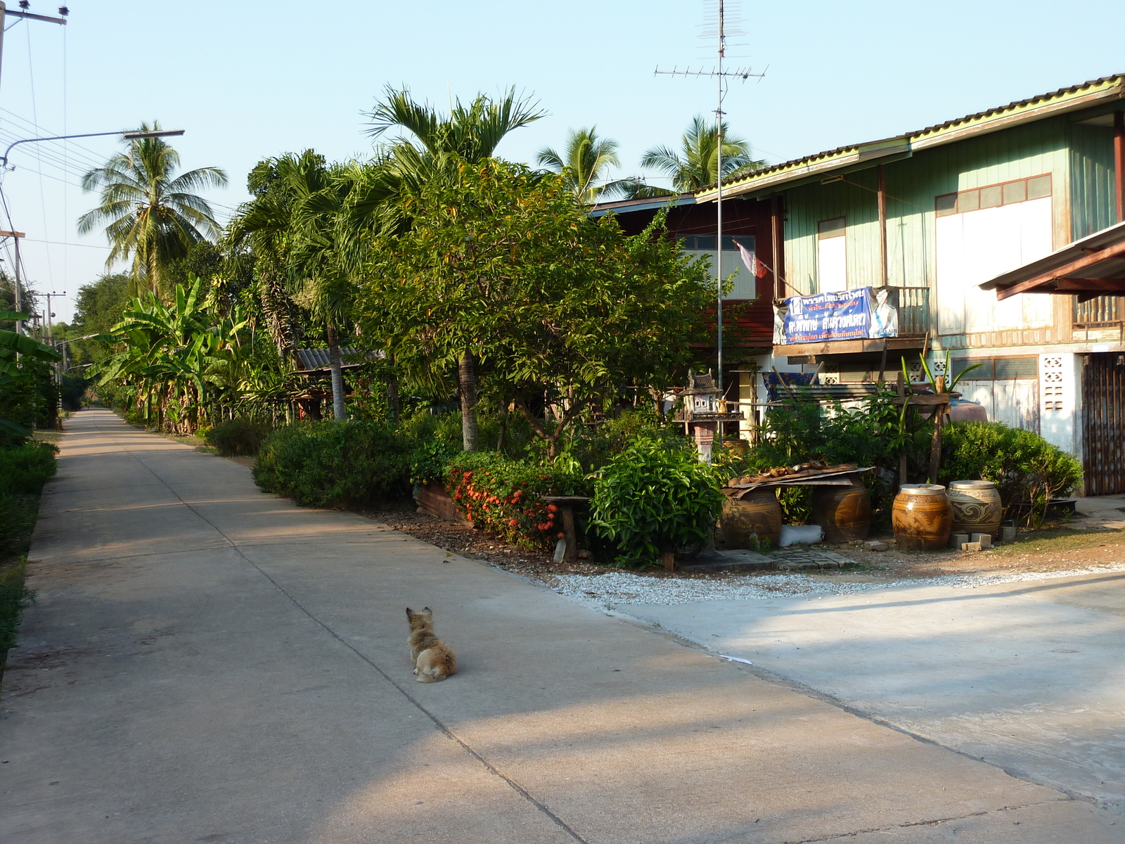 照片 泰国(Thailand) 彭世洛(Phitsanulok) 宗通(Chom Thong) 2009-12 9