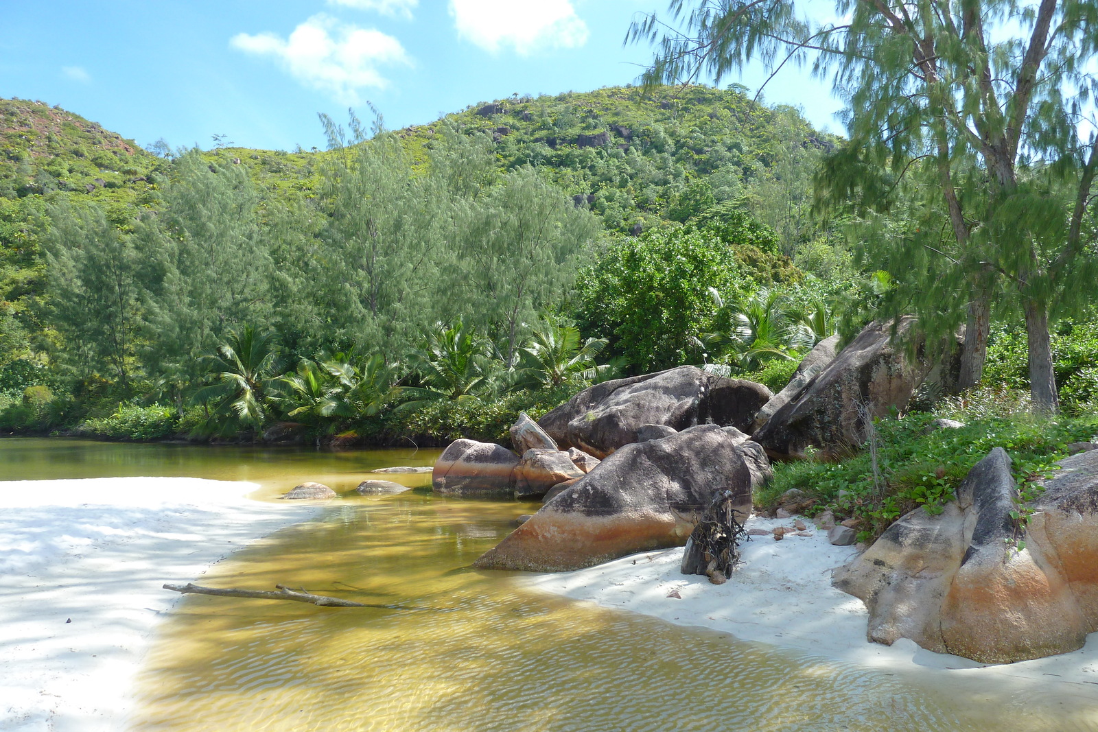 照片 塞舌尔(Seychelles) 拉齐奥湾(Anse Lazio) 2011-10 63