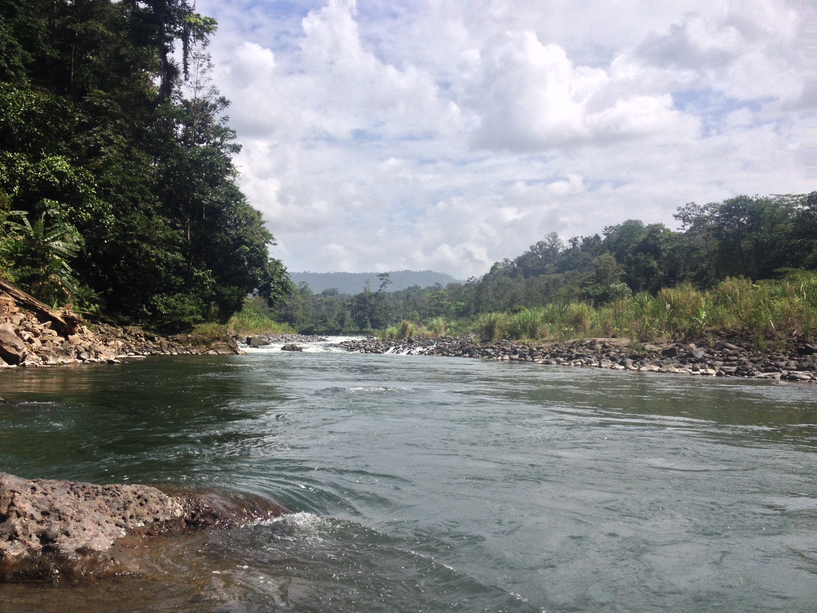 照片 哥斯达黎加(Costa Rica) 帕夸雷河(Pacuare River) 2015-03 156