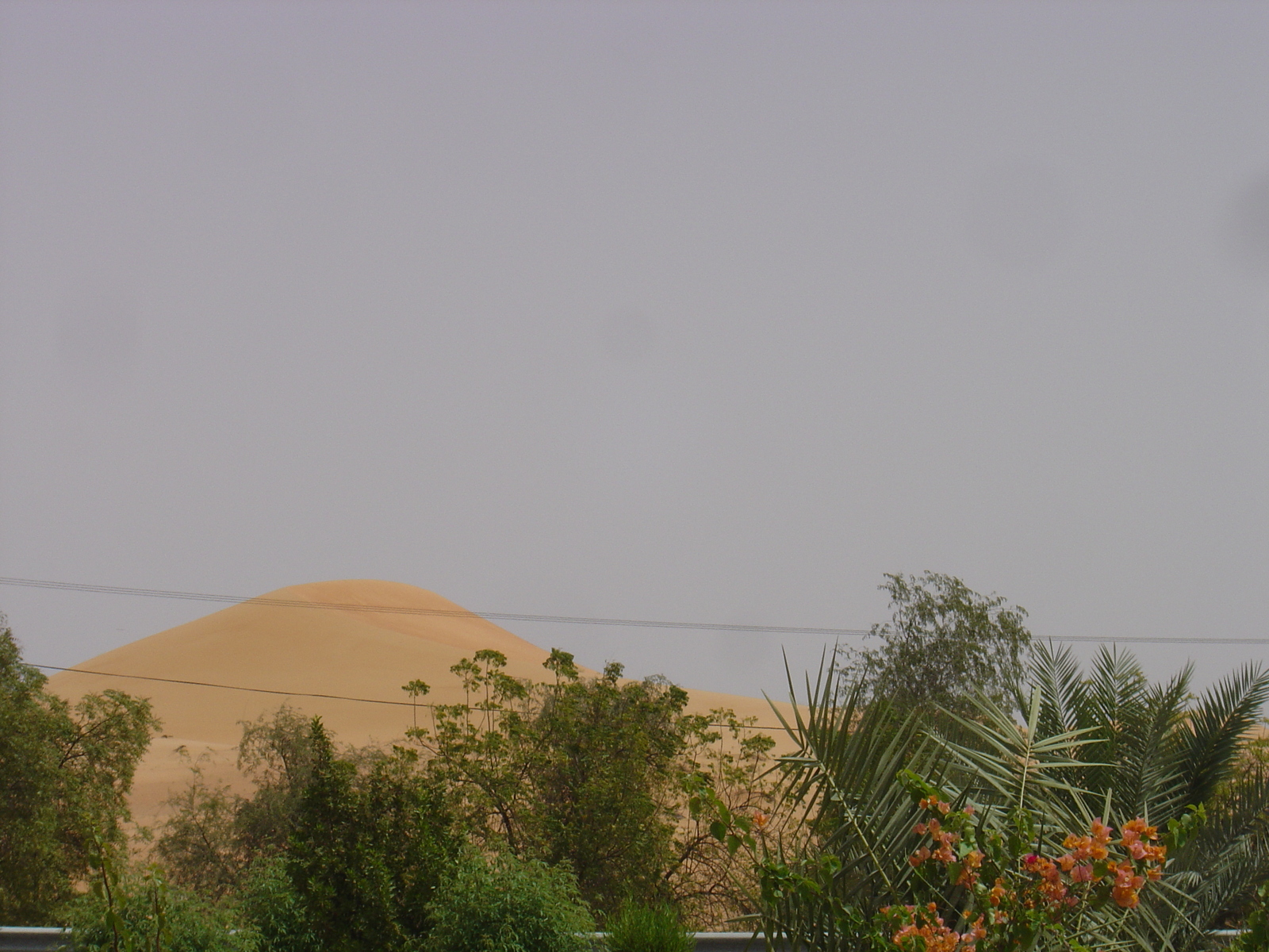 照片 阿联酋(United Arab Emirates) 迪拜至艾因公路(Dubai to Al Ain road) 2005-03 23