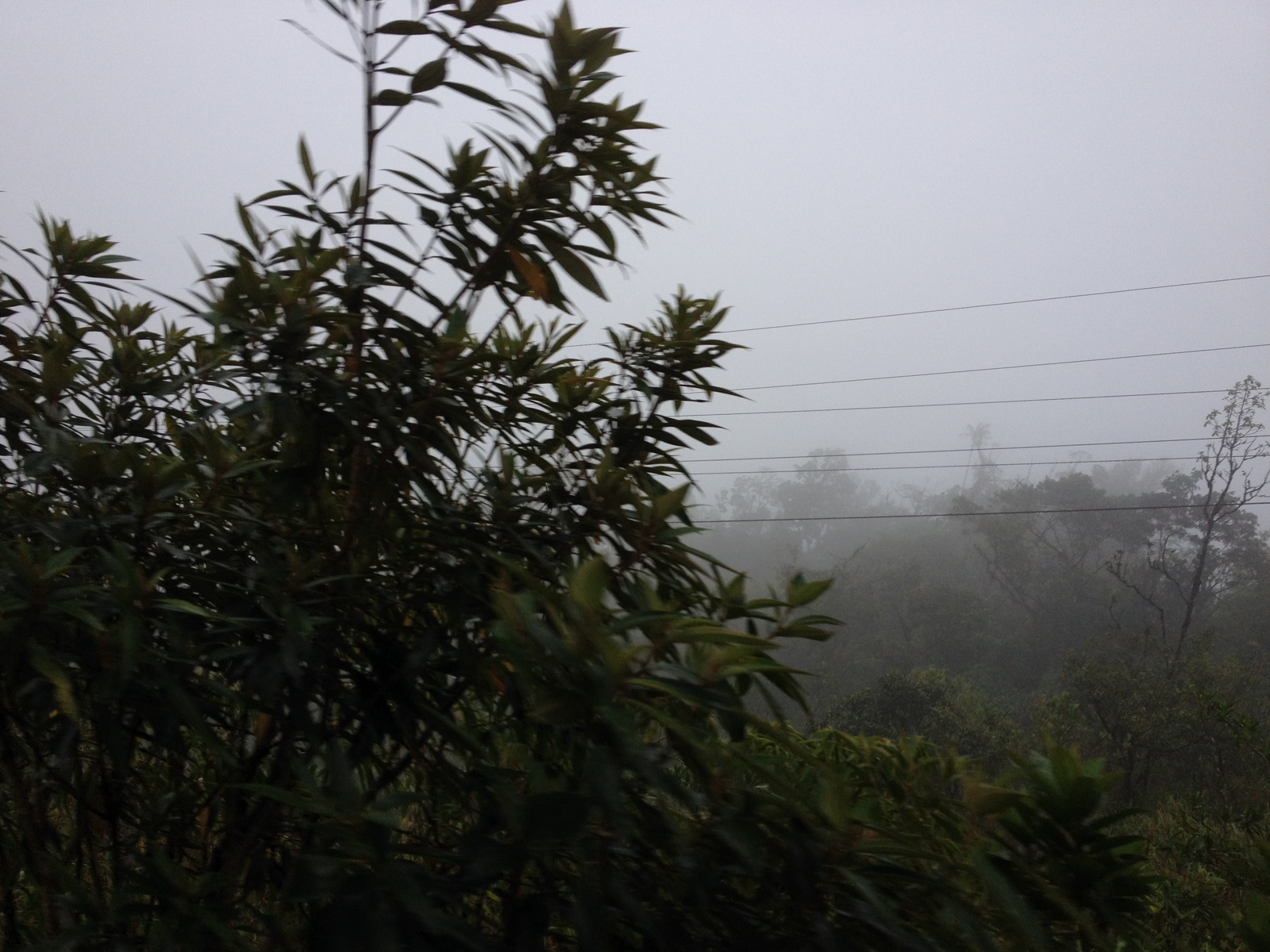 照片 巴拿马(Panama) 戴维至博卡斯德尔托罗(David to Bocas del toro) 2015-03 100