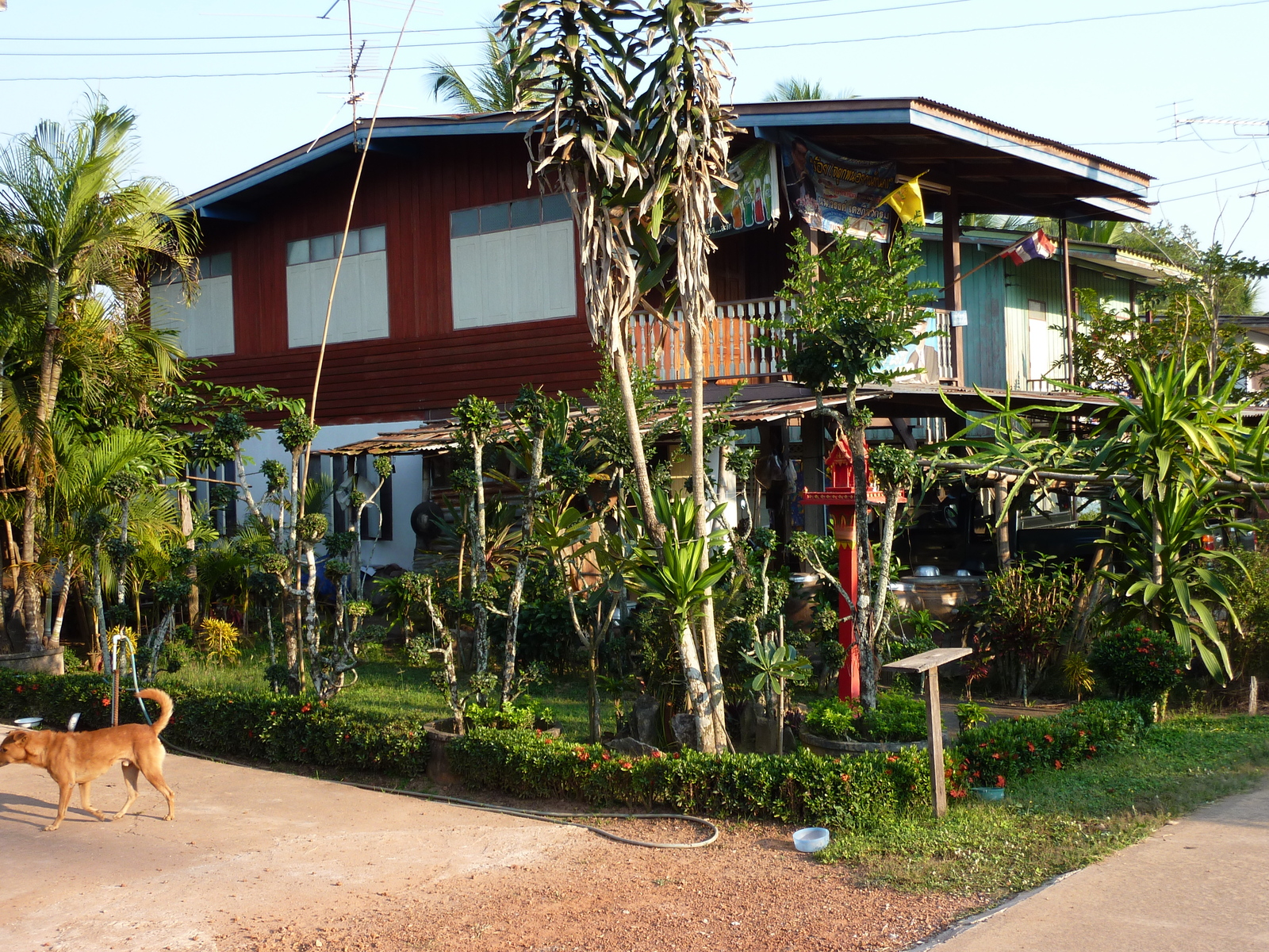 照片 泰国(Thailand) 彭世洛(Phitsanulok) 宗通(Chom Thong) 2009-12 44