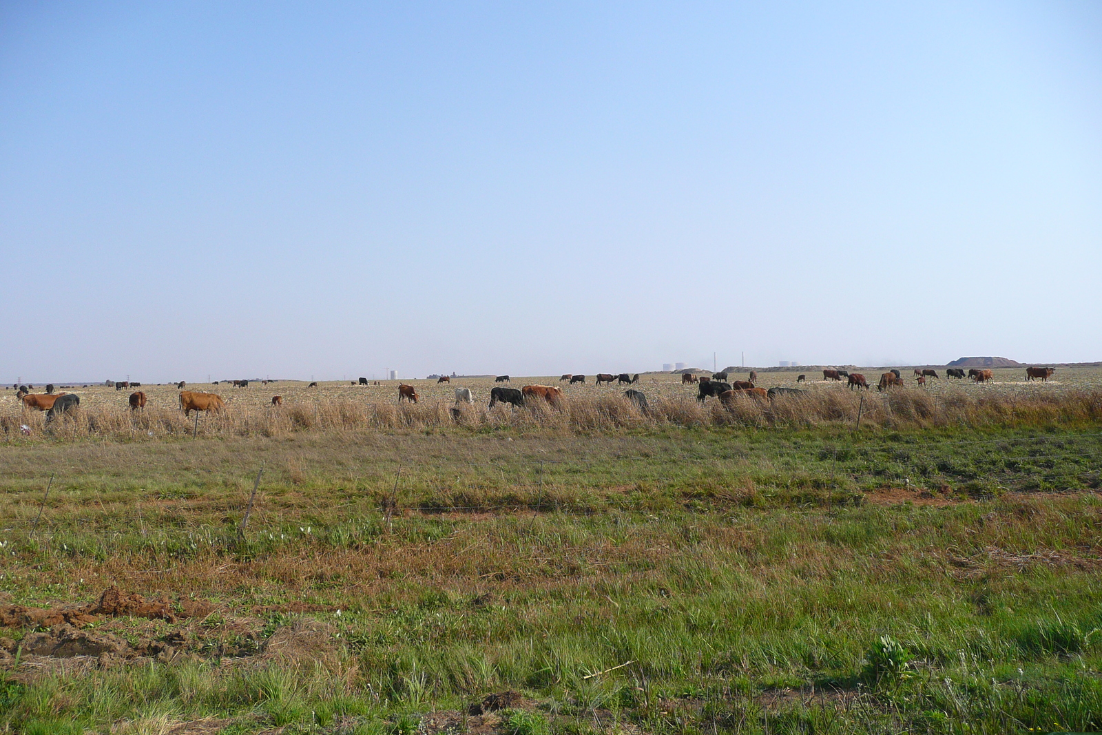 照片 南非(South Africa) 内尔斯普雷特至约翰内斯堡公路(Nelspruit to Johannesburg road) 2008-09 107