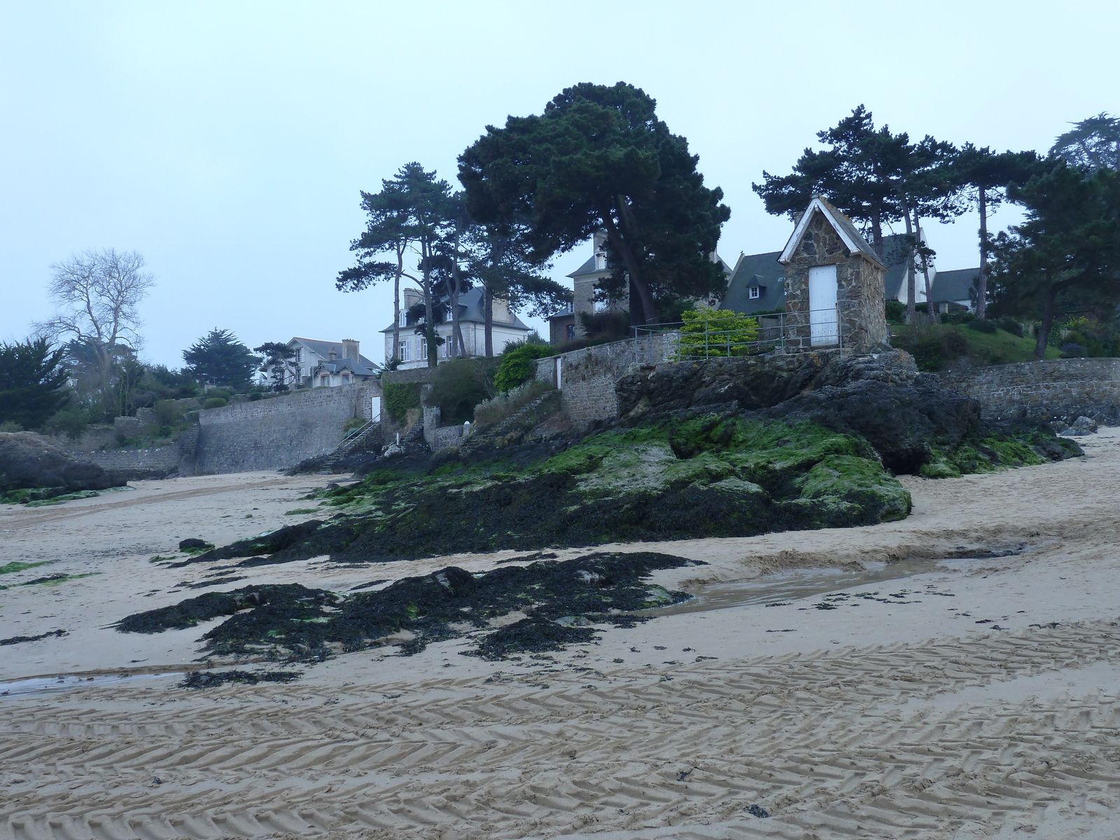 照片 法国(France) 罗特讷夫(Rotheneuf) 2010-04 80