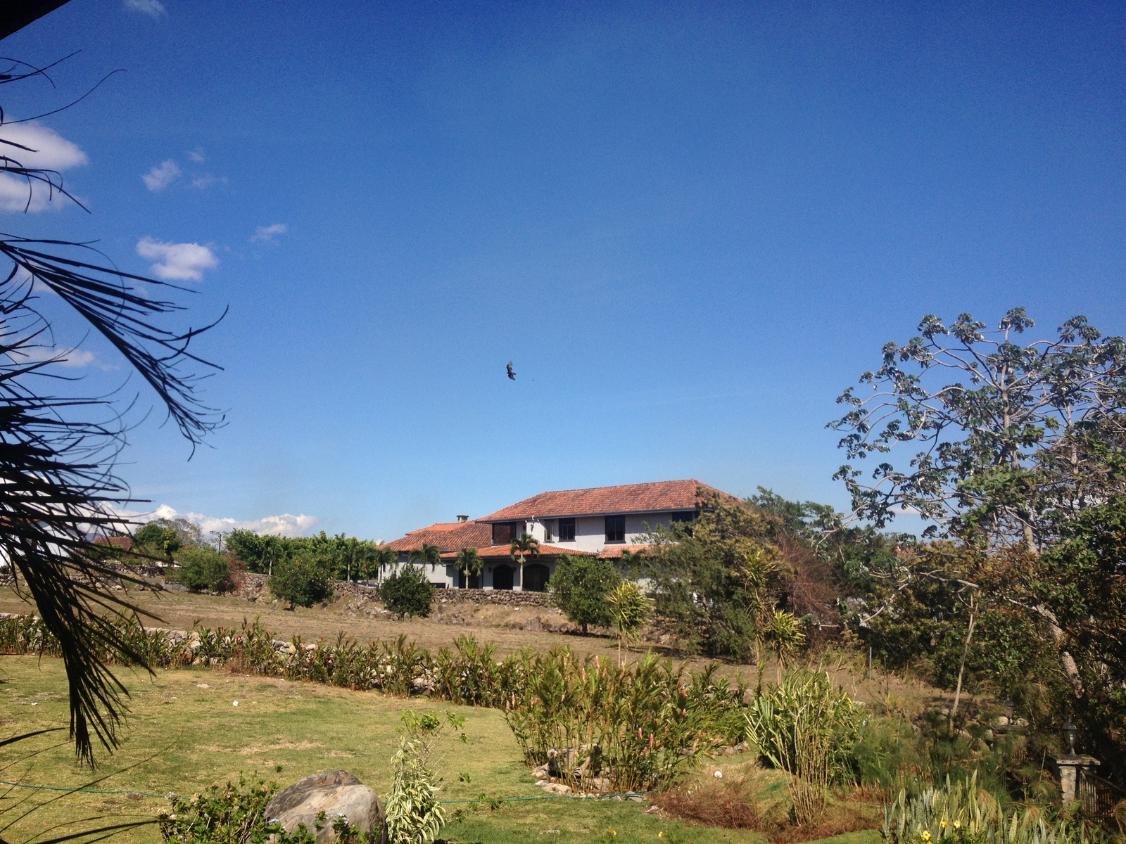 照片 巴拿马(Panama) 博克特(Boquete) 2015-03 11