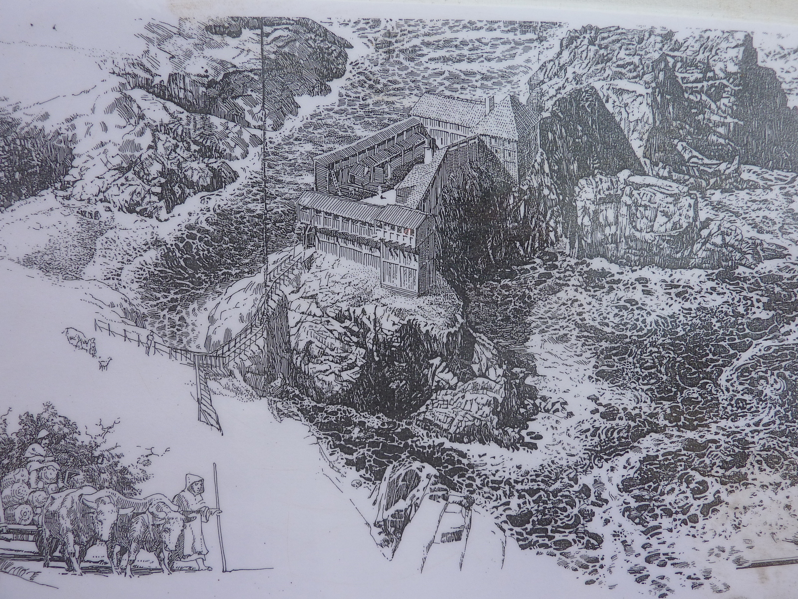 照片 法国(France) 伊厄岛(Ile d'yeu) 2009-07 124