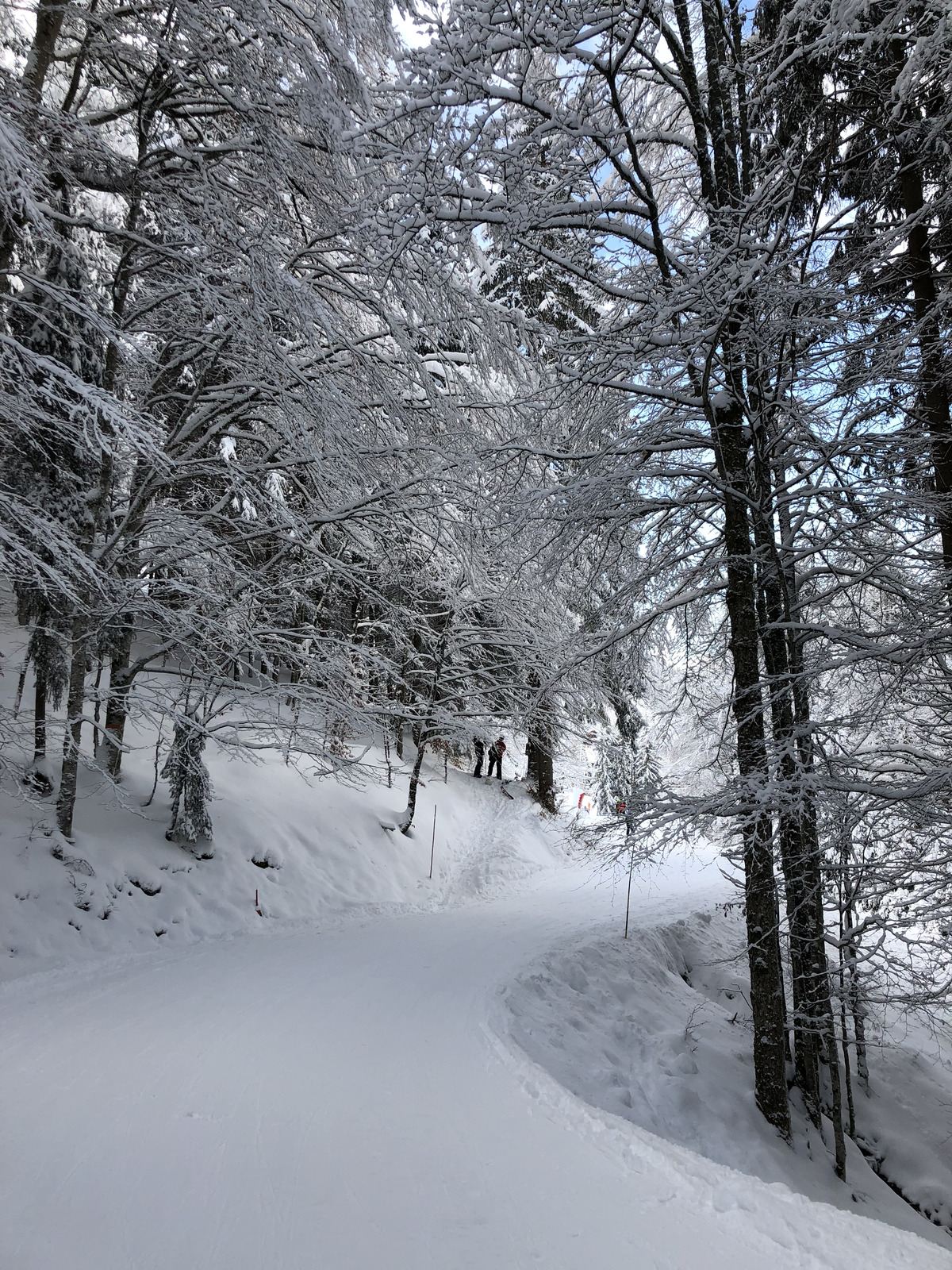 照片 法国(France) 拉克吕萨(La Clusaz) 2017-12 305