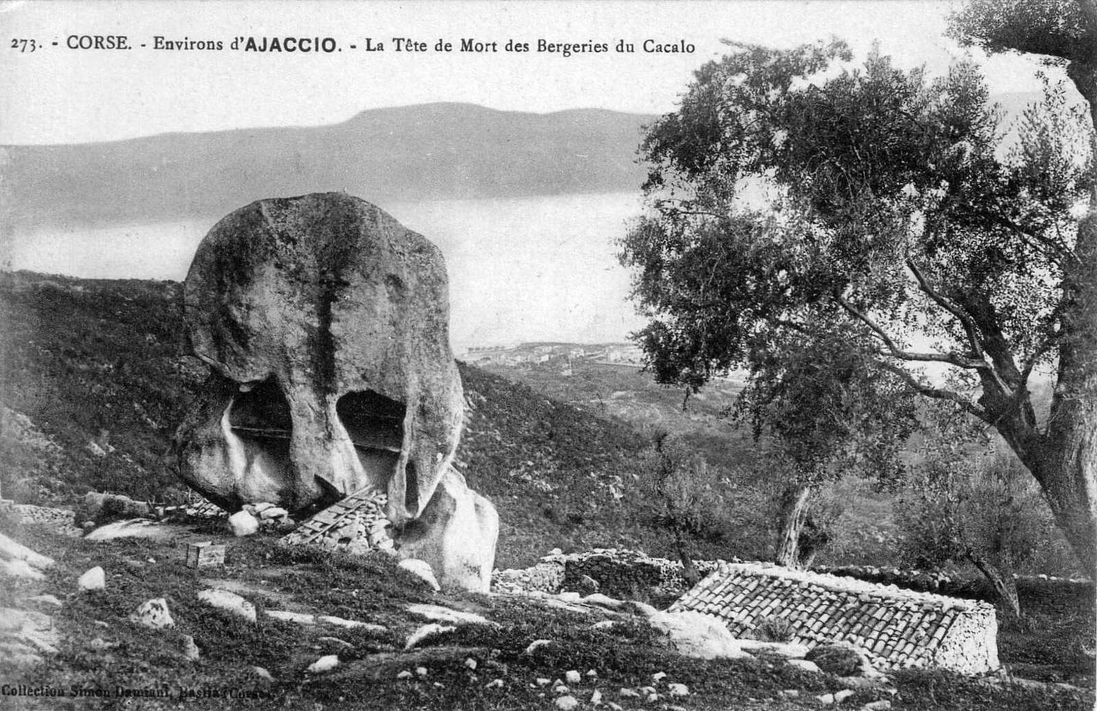 照片 法国(France) 科西嘉岛(Corsica) 老明信片(Old Postcards) 1900-01 336
