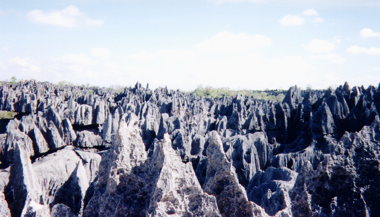 照片 马达加斯加(Madagascar) 黥基(Tsingy) 1999-10 19