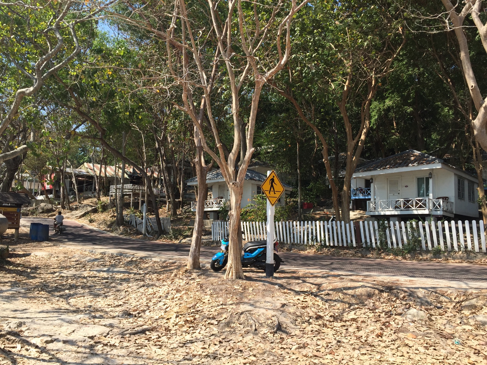 照片 泰国(Thailand) 沙美岛(Ko Samet) 2016-01 3