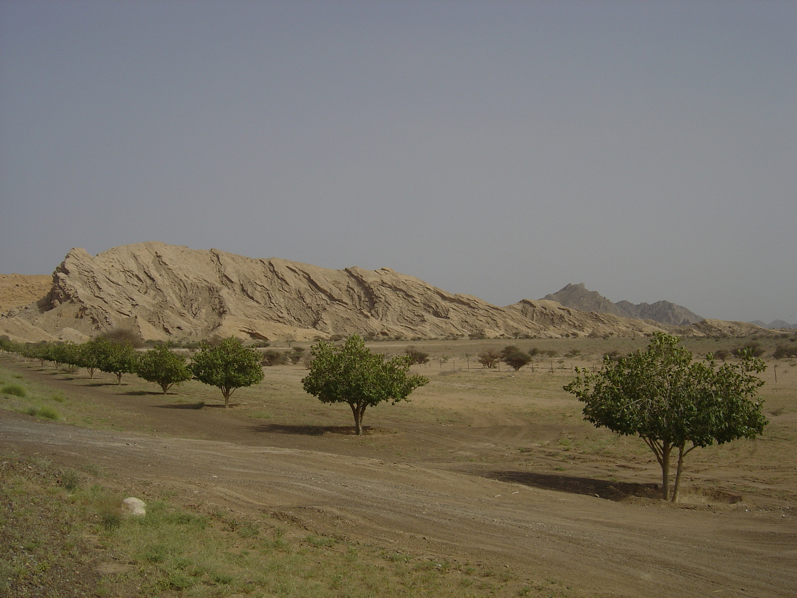 照片 阿曼(Oman) 布赖米至苏哈尔公路(Buraimi to Sohar road) 2005-03 7