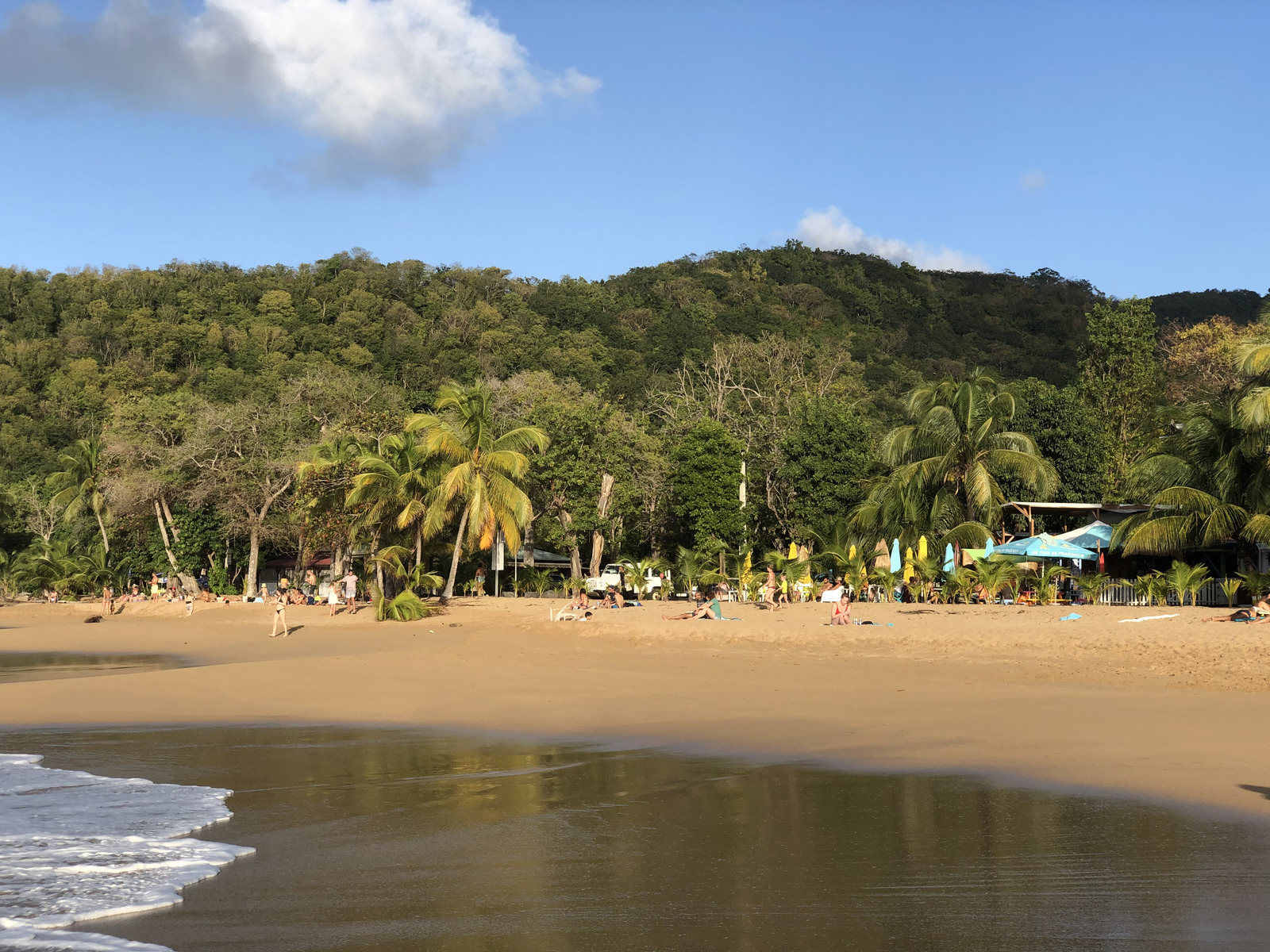 照片 瓜德罗普(Guadeloupe) 珍珠海滩(La Perle Beach) 2021-02 106