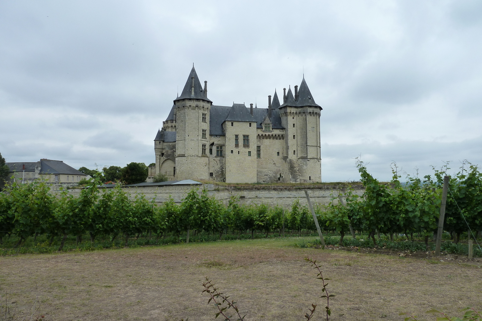 照片 法国(France) 索米尔(Saumur) 2011-05 29