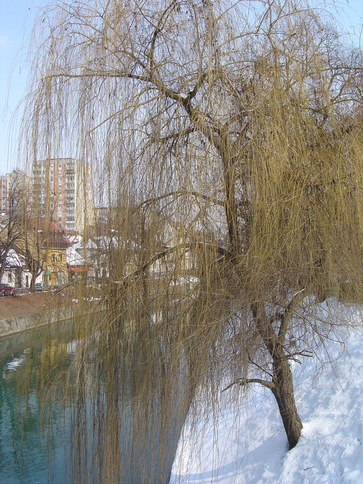 照片 斯洛文尼亚(Slovenia) 卢布尔雅那(Ljubljana) 2005-03 26