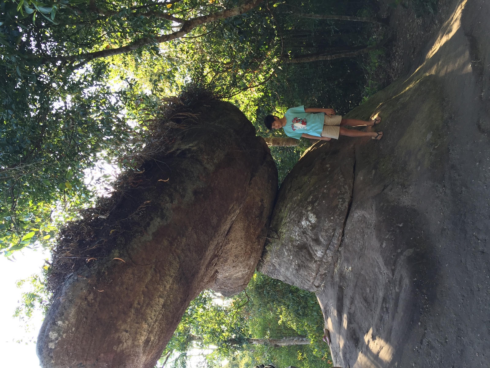 照片 泰国(Thailand) 普欣隆卡国家公园(Phu Hin Rong Kla National Park) 2014-12 255