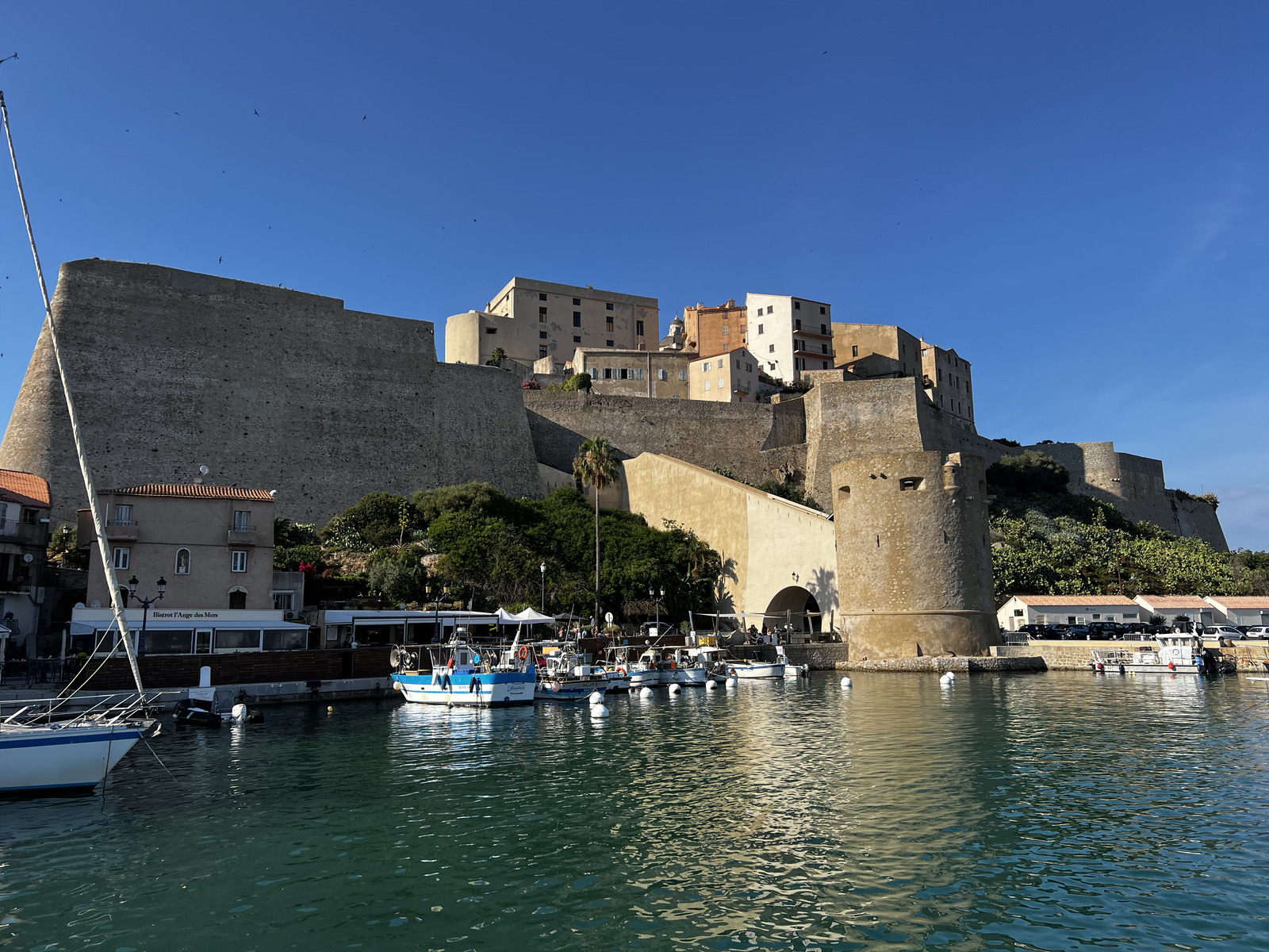 照片 法国(France) 科西嘉岛(Corsica) 卡尔维(Calvi) 2023-06 26