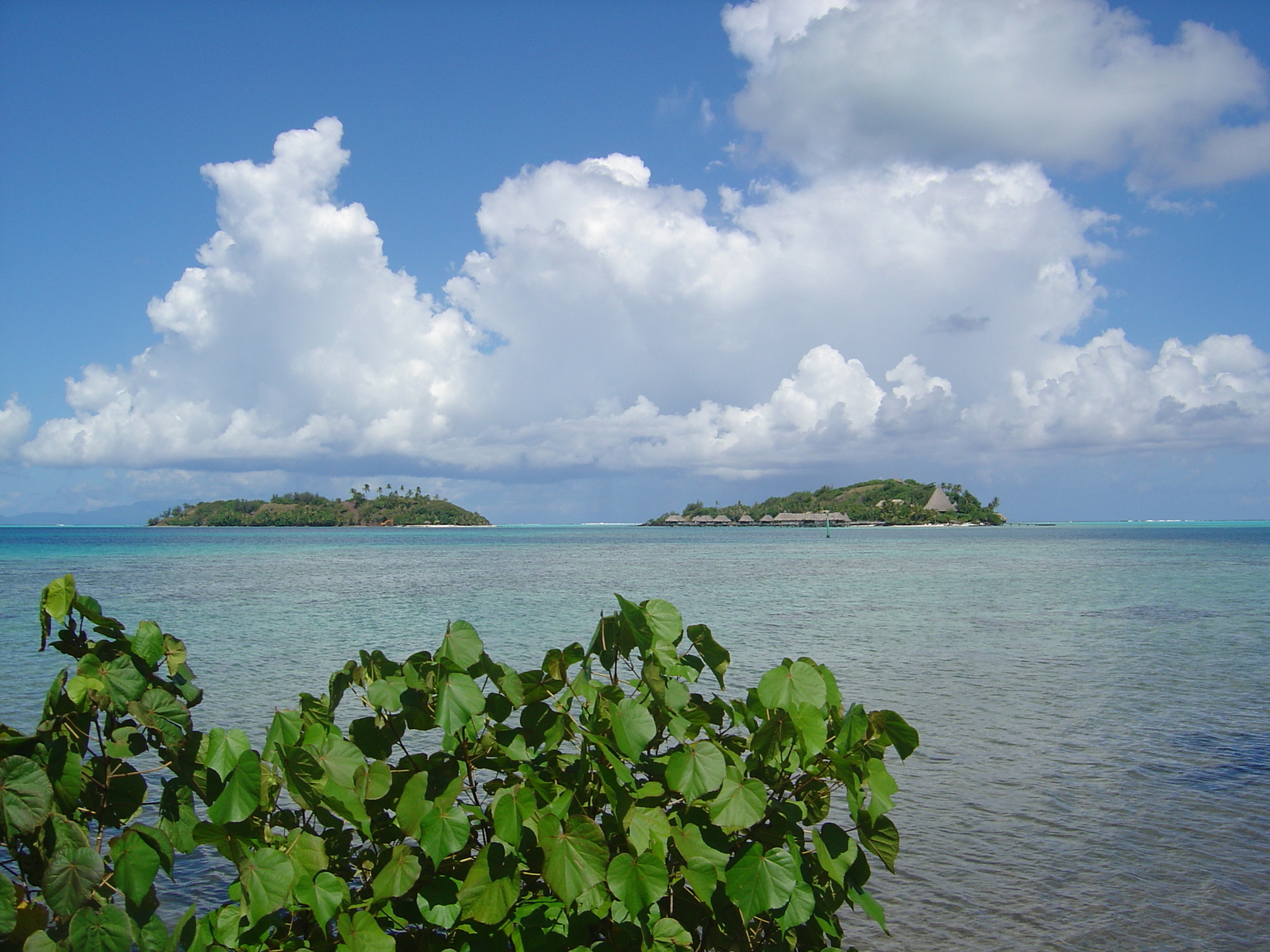照片 波利尼西亚(Polynesia) 波拉波拉岛(Bora Bora) 2006-04 119
