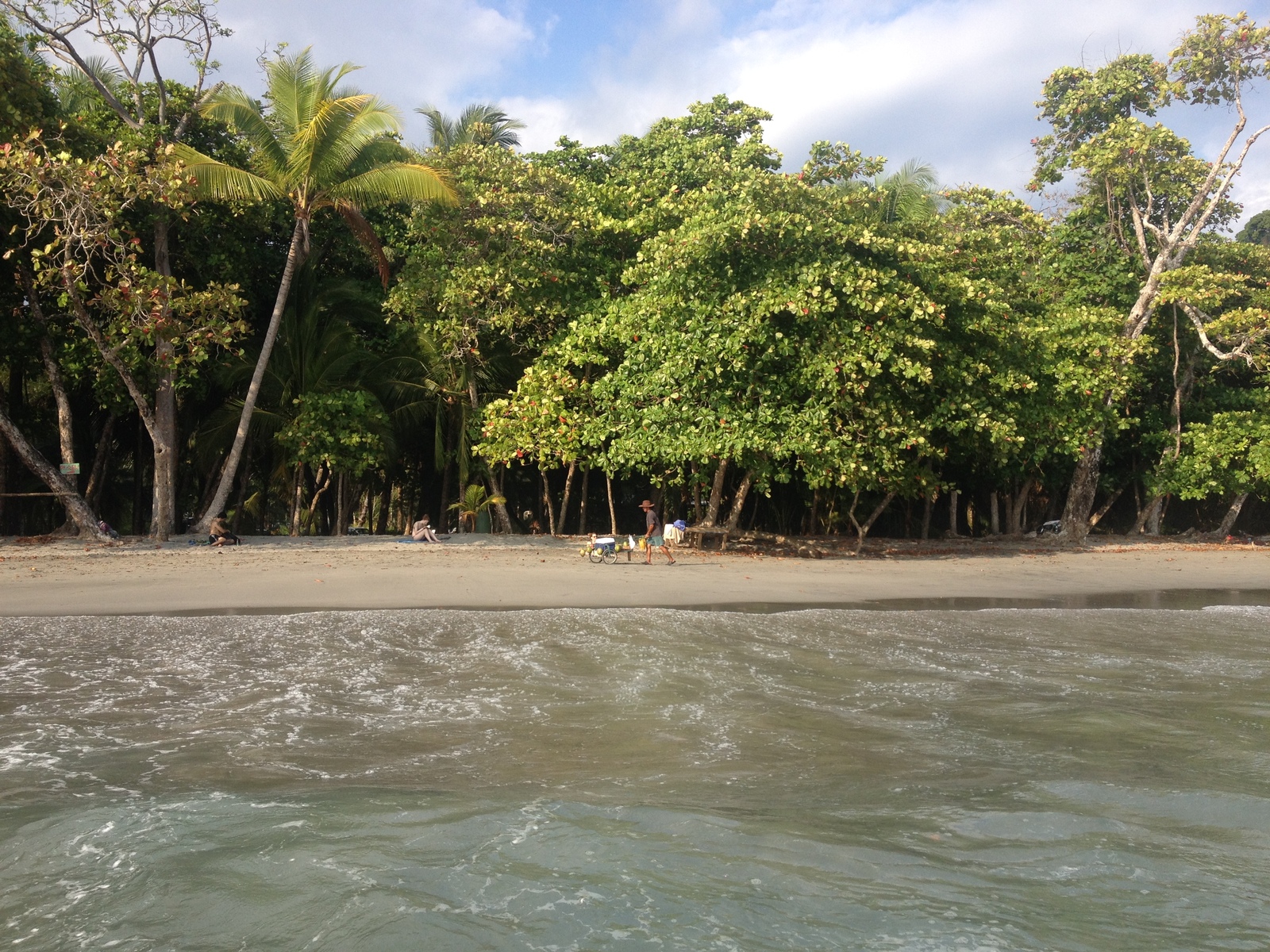 照片 哥斯达黎加(Costa Rica) 曼努埃尔安东尼奥(Manuel Antonio) 2015-03 514