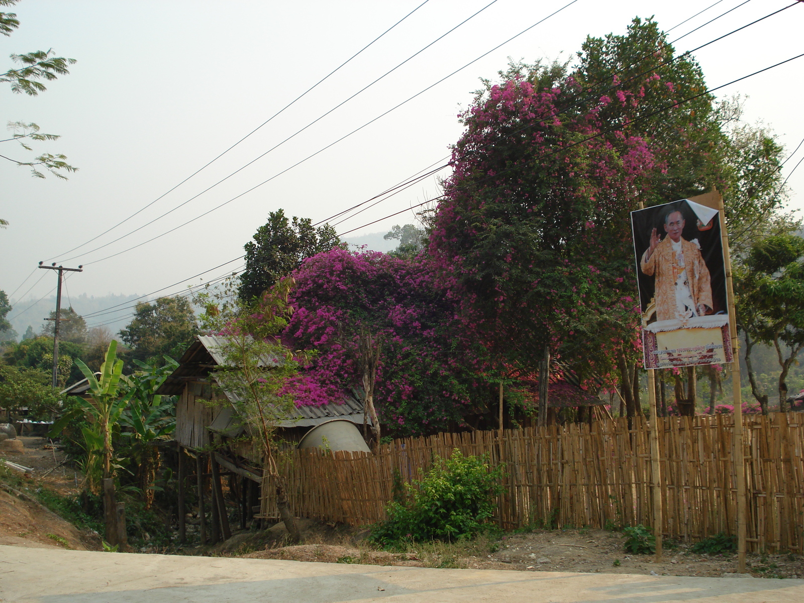 照片 泰国(Thailand) 清迈至拜县公路(Chiang Mai to Pai road) 2007-02 6