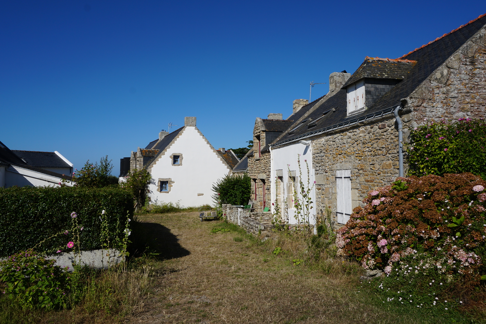 照片 法国(France) 厄迪克岛(Hoedic) 2016-08 60