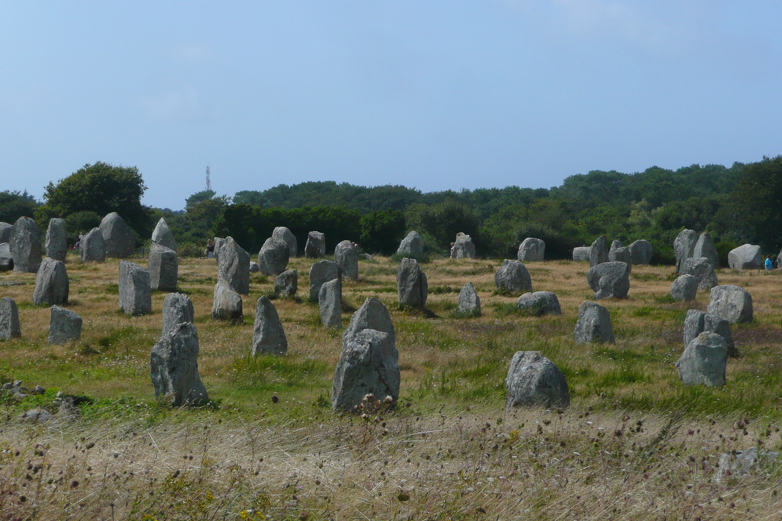 照片 法国(France) 卡纳克(Carnac) 2008-07 8