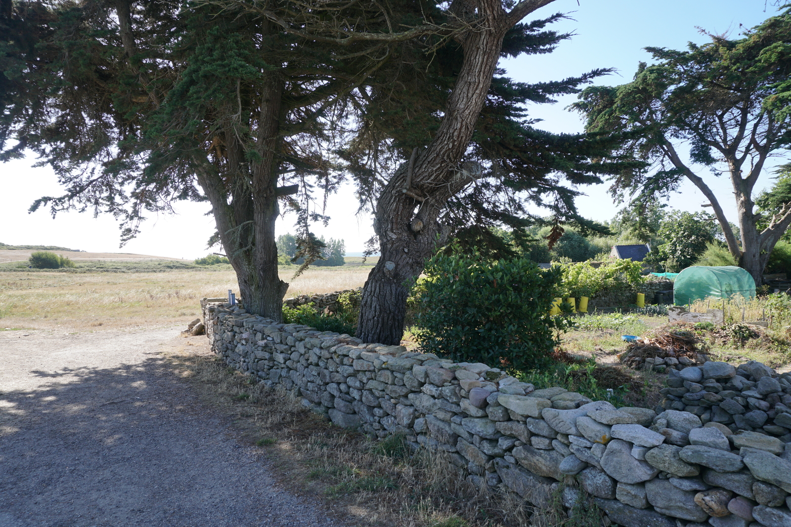 照片 法国(France) 厄迪克岛(Hoedic) 2016-08 64