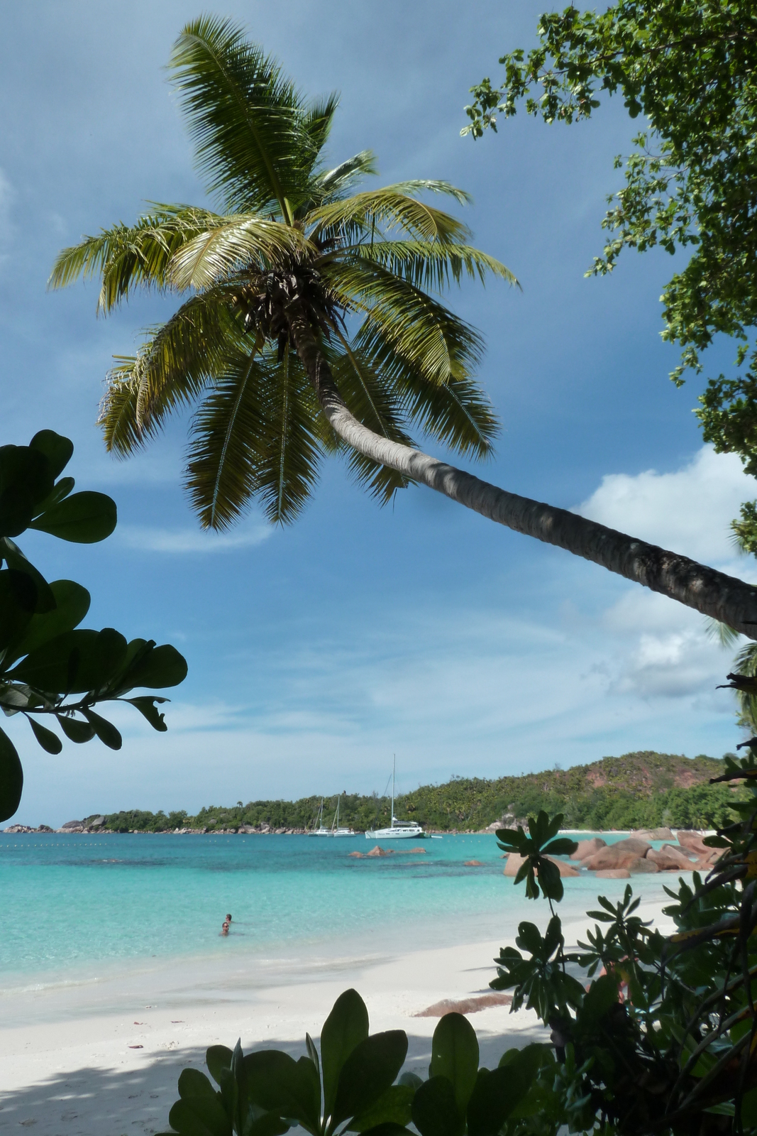 照片 塞舌尔(Seychelles) 2011-10 84