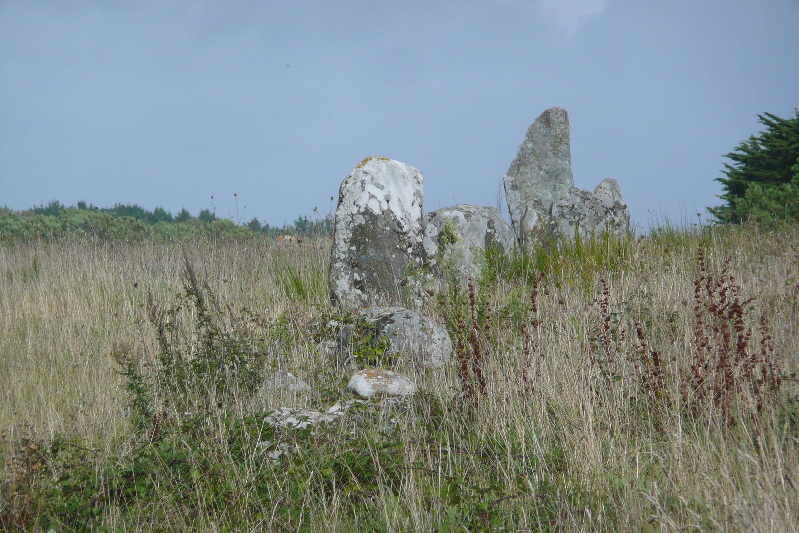 照片 法国(France) 卡纳克(Carnac) 2008-07 7