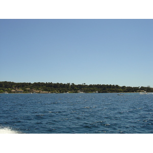 照片 法国(France) 戛纳(Cannes) 圣玛格丽特岛(Sainte Marguerite) 2004-05 24