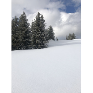 照片 法国(France) 梅杰夫(Megeve) 2019-03 96