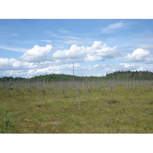 照片 俄罗斯(Russia) 雅罗斯拉夫尔至圣彼得堡(From Yaroslavl to St Petersburg) 2006-07 48
