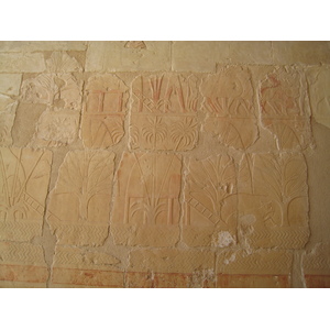 照片 埃及(Egypt) 卢克索(Luxor) 2007-04 2