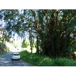 照片 新喀里多尼亚(New Caledonia) 卡纳拉至拉福阿公路(Canala to La Foa road) 2010-05 65