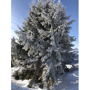 照片 法国(France) 阿尔利河畔普拉(Praz sur Arly) 2019-12 57