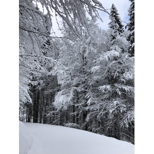 照片 法国(France) 拉克吕萨(La Clusaz) 2017-12 160