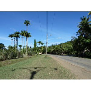 照片 新喀里多尼亚(New Caledonia) 卡纳拉至拉福阿公路(Canala to La Foa road) 2010-05 0