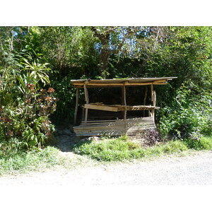 照片 新喀里多尼亚(New Caledonia) 卡纳拉至拉福阿公路(Canala to La Foa road) 2010-05 9