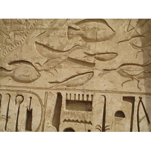 照片 埃及(Egypt) 卢克索(Luxor) 2007-04 18