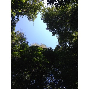照片 哥斯达黎加(Costa Rica) 曼努埃尔安东尼奥(Manuel Antonio) 2015-03 274