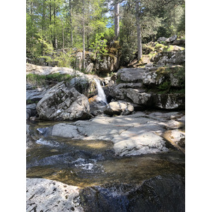 照片 法国(France) 科西嘉岛(Corsica) 艾托内森林(Aitone Forest) 2021-06 12
