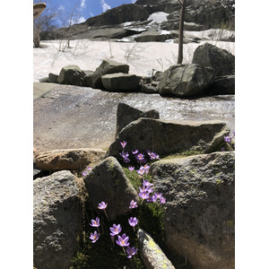 照片 法国(France) 科西嘉岛(Corsica) 梅洛湖和卡皮泰洛湖(Lac de Melo et Capitello) 2021-06 8