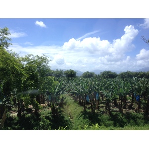 照片 哥斯达黎加(Costa Rica) 利蒙至锡基雷斯(Limon to Siquirres) 2015-03 30