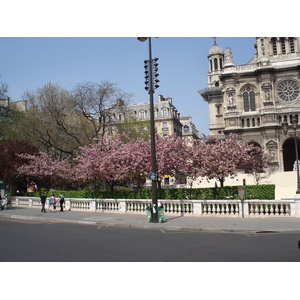 照片 法国(France) 巴黎(Paris) 第九区(9th Arrondissement) 2006-04 36