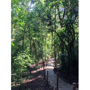 照片 哥斯达黎加(Costa Rica) 曼努埃尔安东尼奥(Manuel Antonio) 2015-03 60