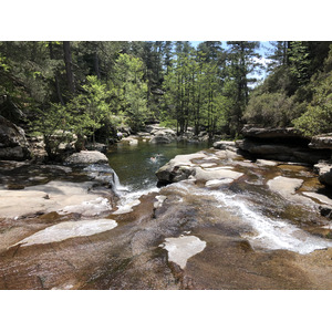 照片 法国(France) 科西嘉岛(Corsica) 艾托内森林(Aitone Forest) 2021-06 25