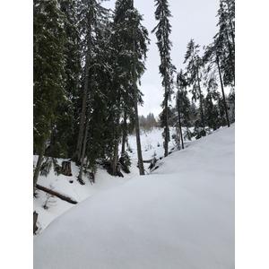 照片 法国(France) 梅杰夫(Megeve) 2019-03 51