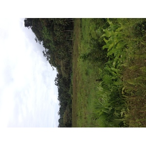 照片 巴拿马(Panama) 戴维至博卡斯德尔托罗(David to Bocas del toro) 2015-03 96